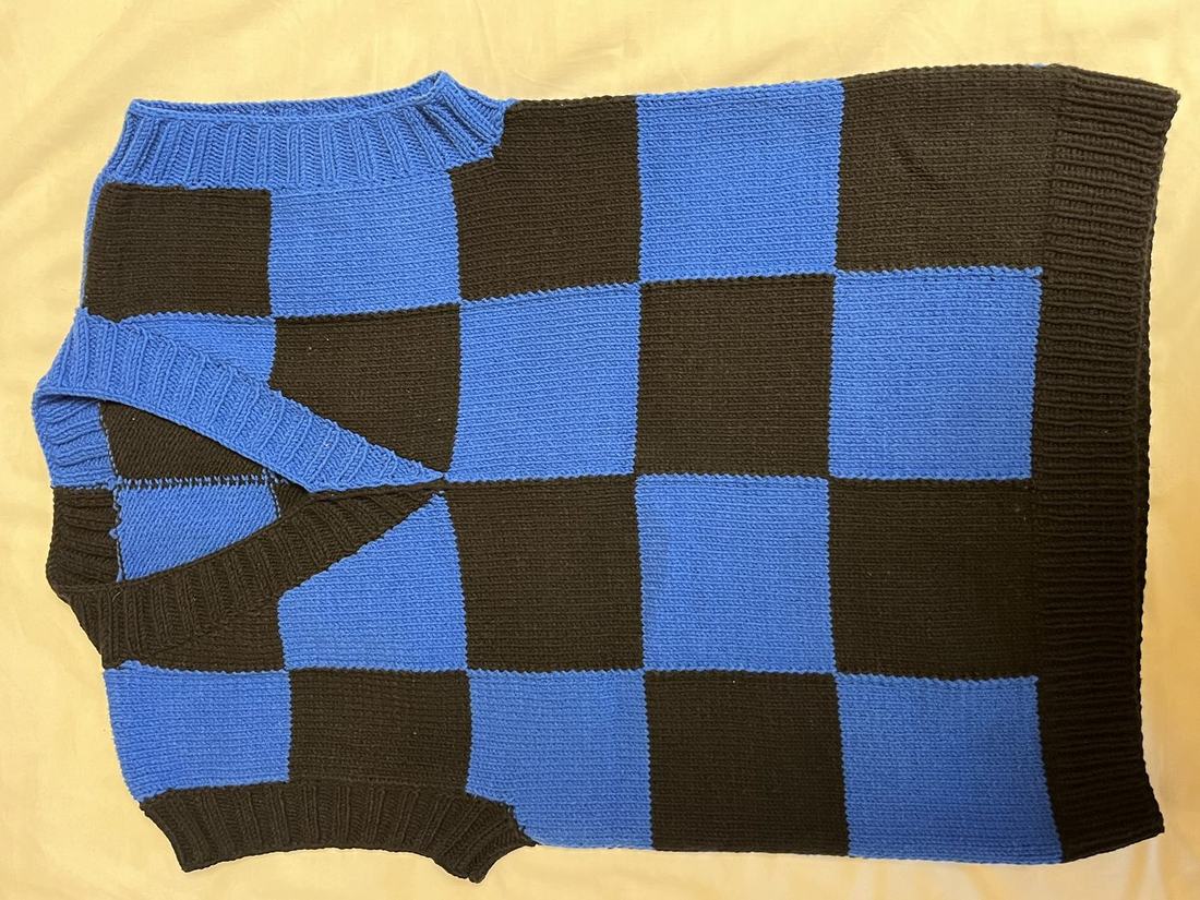 Flat lay of the blue and black checkerboard vest